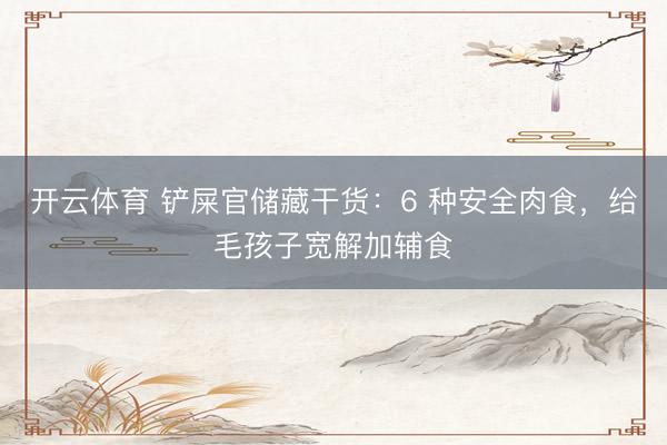 开云体育 铲屎官储藏干货：6 种安全肉食，给毛孩子宽解加辅食
