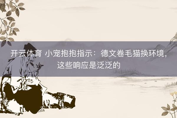 开云体育 小宠抱抱指示：德文卷毛猫换环境，这些响应是泛泛的