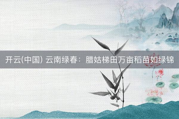 开云(中国) 云南绿春：腊姑梯田万亩稻苗如绿锦