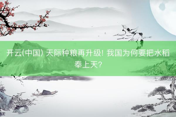 开云(中国) 天际种粮再升级! 我国为何要把水稻奉上天?