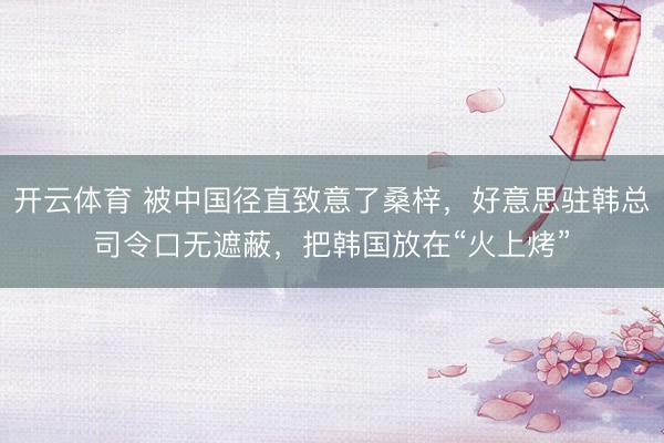 开云体育 被中国径直致意了桑梓，好意思驻韩总司令口无遮蔽，把韩国放在“火上烤”