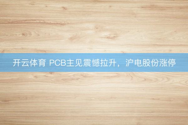 开云体育 PCB主见震憾拉升，沪电股份涨停