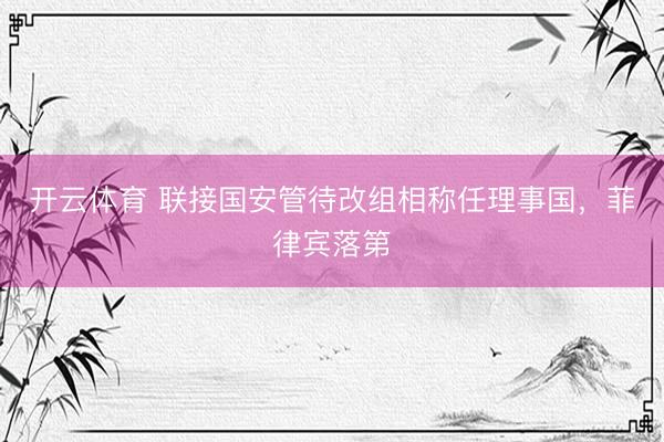 开云体育 联接国安管待改组相称任理事国，菲律宾落第