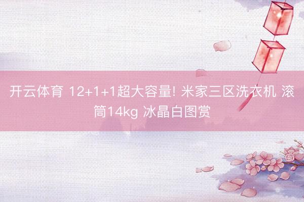开云体育 12+1+1超大容量! 米家三区洗衣机 滚筒1
