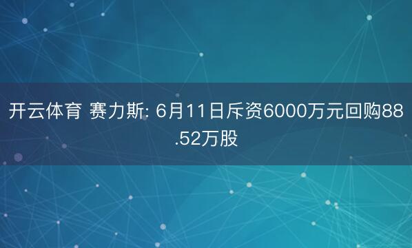 开云体育 赛力斯: 6月11日斥资6000万元回购88.52万股