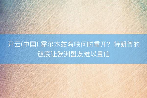 开云(中国) 霍尔木兹海峡何时重开？特朗普的谜底让欧洲盟友难以置信