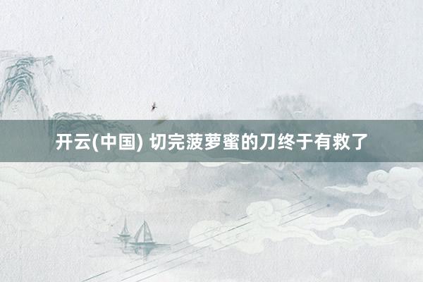 开云(中国) 切完菠萝蜜的刀终于有救了