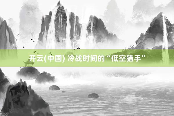 开云(中国) 冷战时间的“低空猎手”